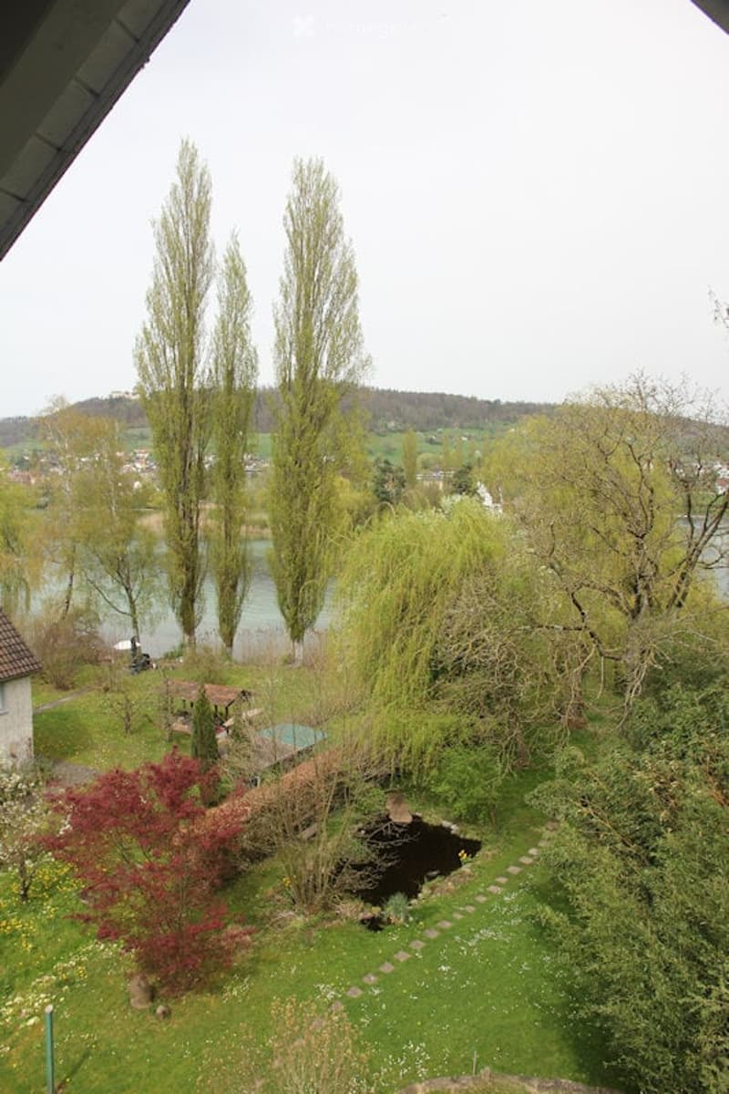 Dachwohnung in Eschenz, grosser Garten, Rheinzugang (6)