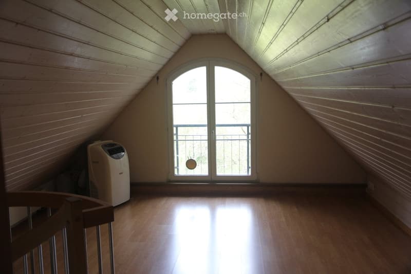 Dachwohnung in Eschenz, grosser Garten, Rheinzugang (12)