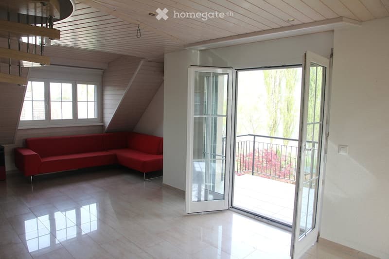 Dachwohnung in Eschenz, grosser Garten, Rheinzugang (9)