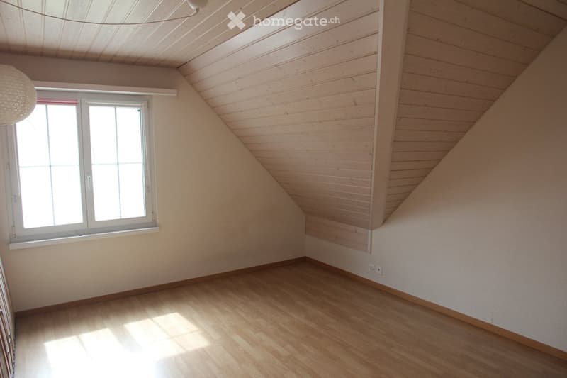 Dachwohnung in Eschenz, grosser Garten, Rheinzugang (4)