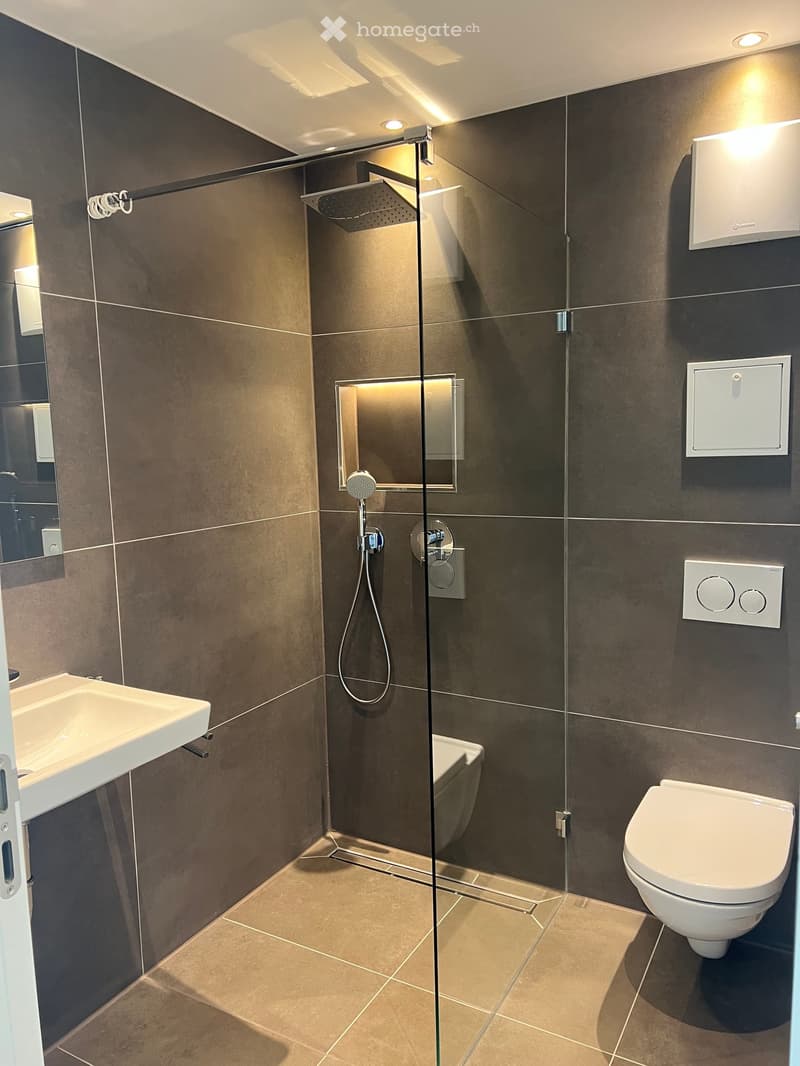 Modern bathroom with dark brown tiles, a glass-enclosed shower, a white sink, and a toilet.