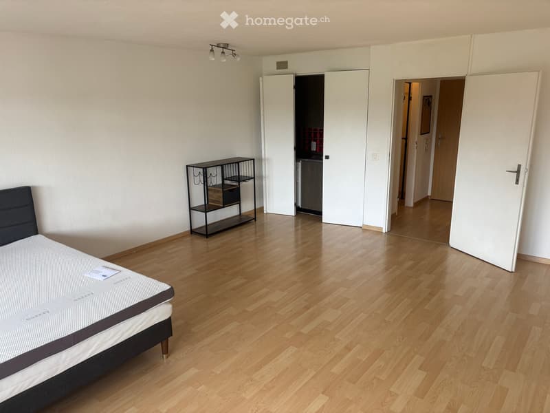 Helle 1.5-Zimmer-Wohnung im 10. Stock mit Balkon und schöner Aussicht in Dietikon (3)