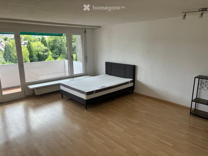 Helle 1.5-Zimmer-Wohnung im 10. Stock mit Balkon und schöner Aussicht in Dietikon (4)