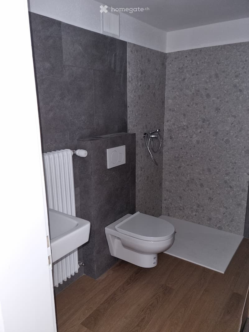 Modern bathroom with dark grey tiled walls, wooden flooring, a white toilet, a sink, and a radiator.