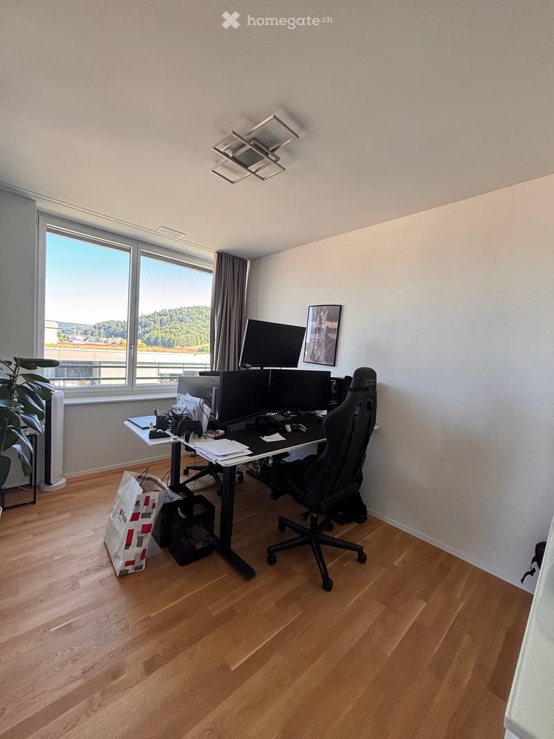 Modern office space with wooden flooring, large window with view, desk with computer setup, ergonomic chair, and decorative plant.