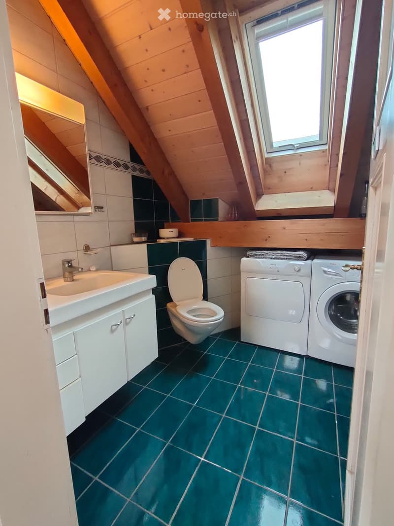 Bathroom with green tiles, white sink, toilet, washing machine, and dishwasher, wooden slanted ceiling, and skylight window.