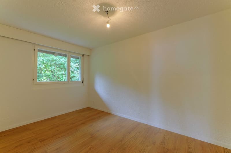 empty room, white walls, wooden floor, window with view to trees