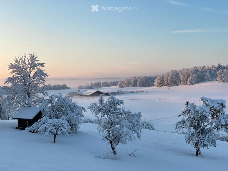 snowy landscape, small house, trees, mountains in the distance