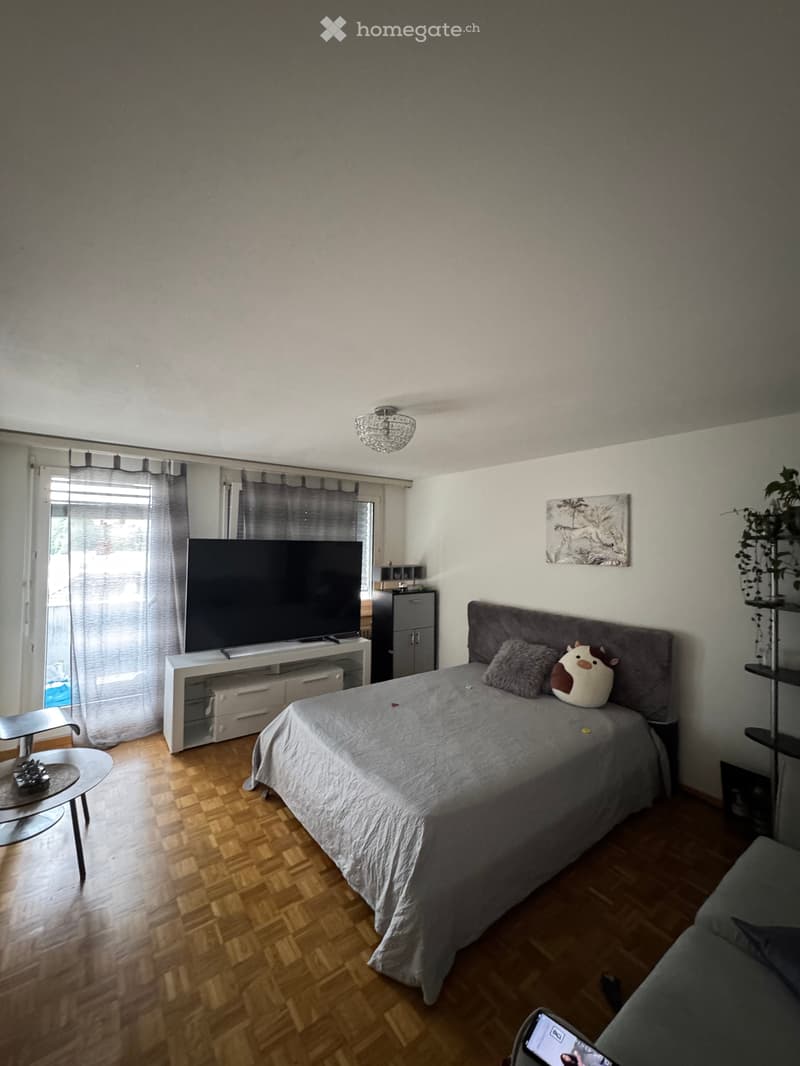 3.5-Zimmerwohnung im 3.OG (ohne Lift) (1)