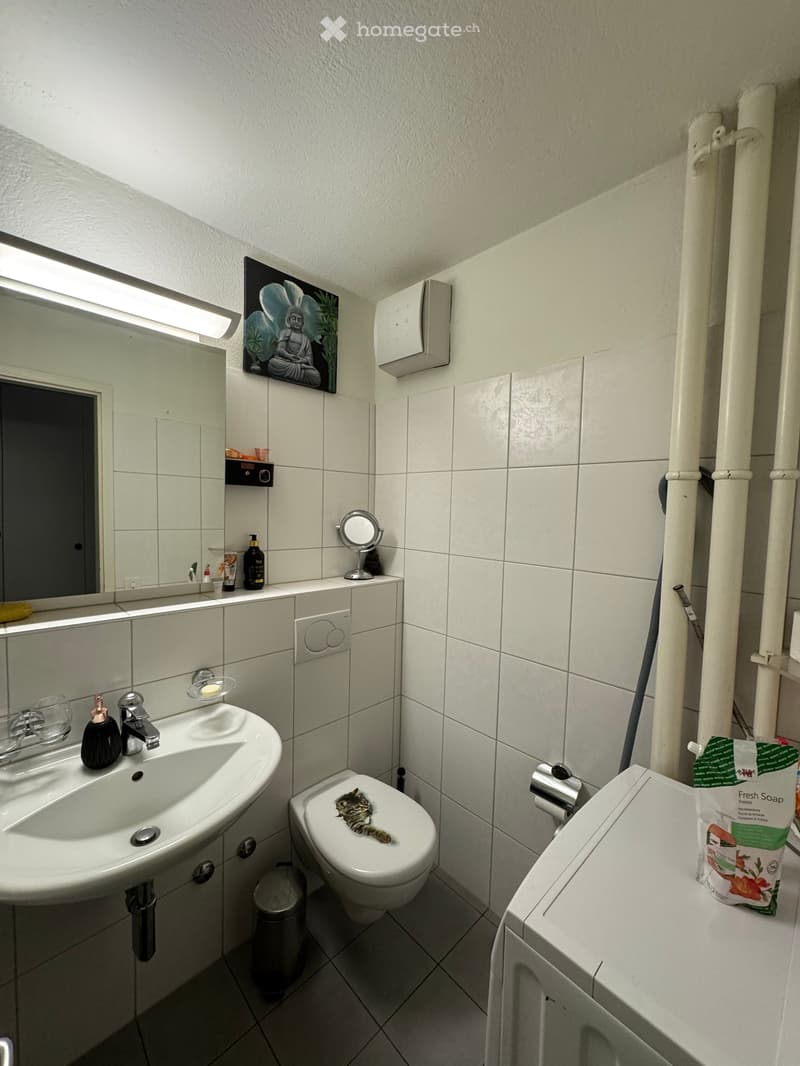 3.5-Zimmerwohnung im 3.OG (ohne Lift) (5)