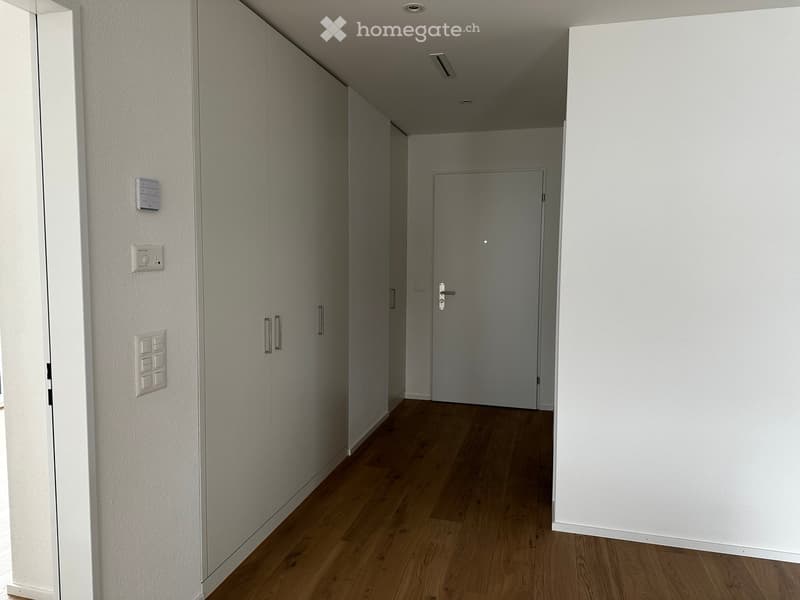 A narrow hallway with light wooden flooring, white walls, and a closed door at the end. There are built-in cabinets with silver handles on one side and light switches on the wall.