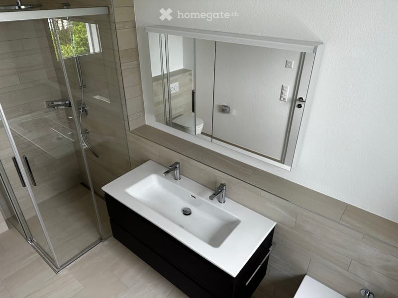 Modern bathroom with a white sink, chrome faucets, a large mirror, a glass-enclosed shower, and a dark wooden cabinet.