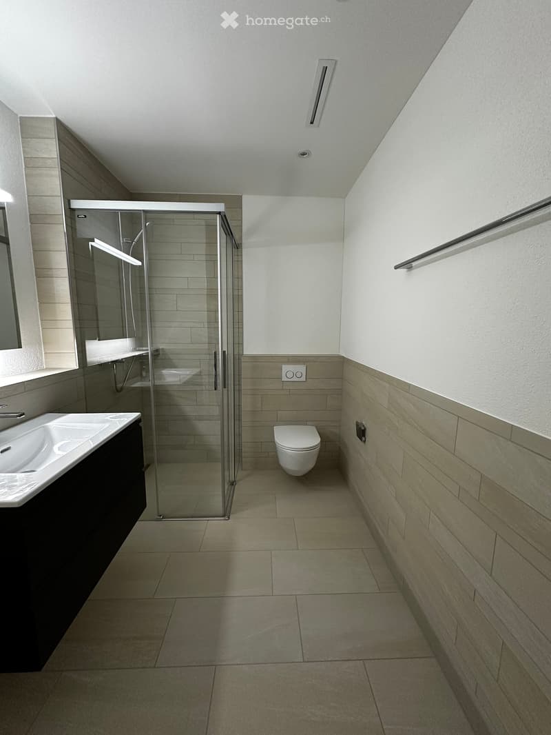 Modern bathroom with a white toilet, a sink with a dark cabinet, a glass-enclosed shower, and a large mirror on the wall.