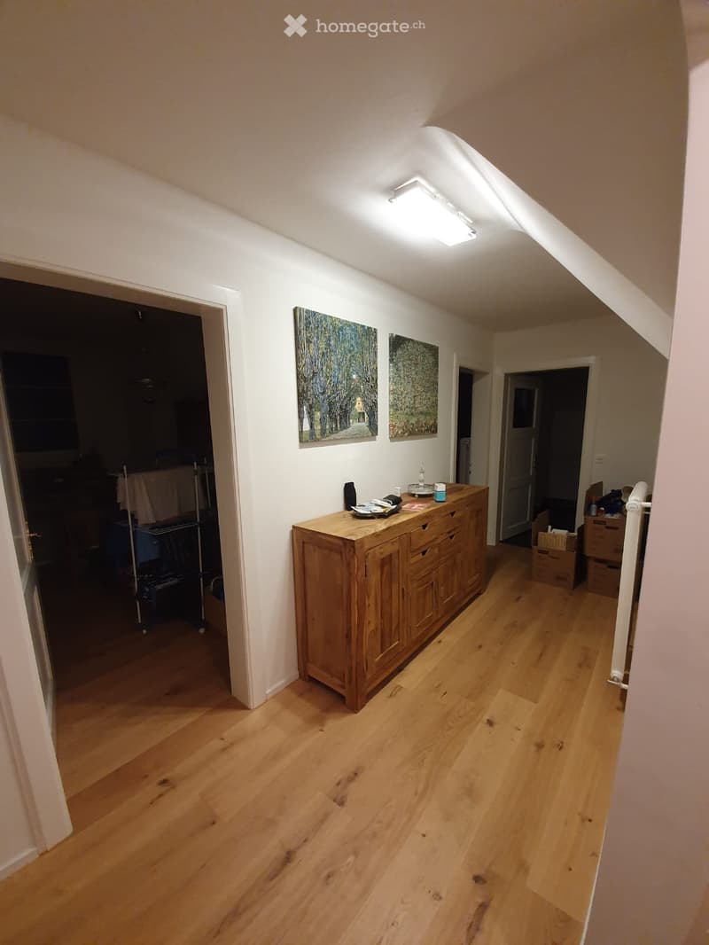 A hallway with wooden flooring, a large wooden cabinet, and two paintings on the wall. The hallway has several doors leading to other rooms.