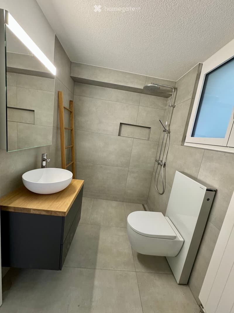 Modern bathroom with a sleek sink, toilet, and shower, featuring a large mirror and a wooden ladder leaning against the wall.