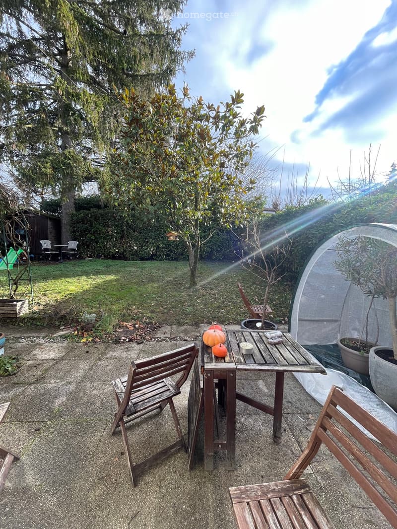 Garden area with a wooden table and chairs, pumpkins on the table, surrounded by trees and plants.