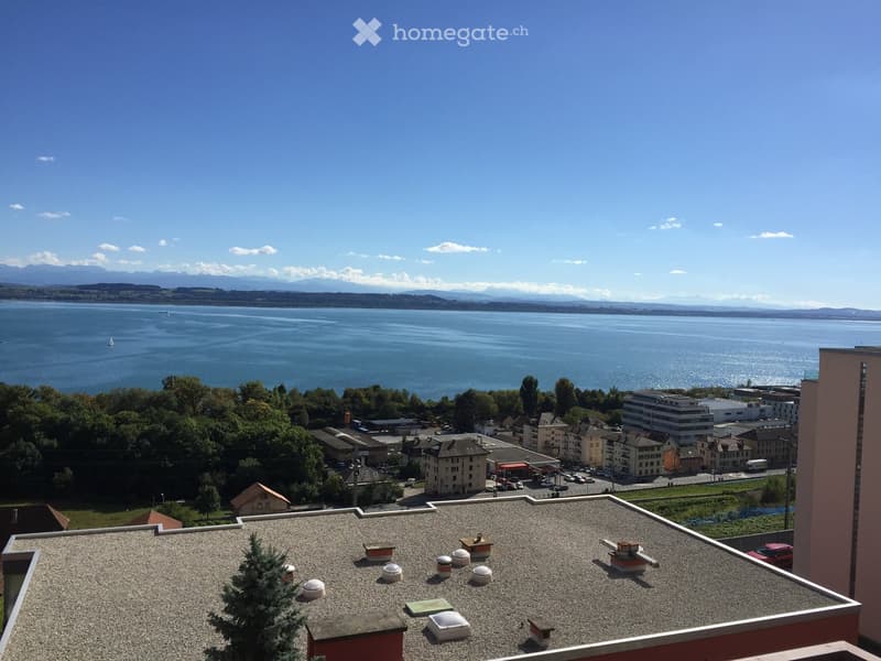 Roof terrace with gravel surface, several ventilation units, small tree, and distant view of a lake and cityscape.