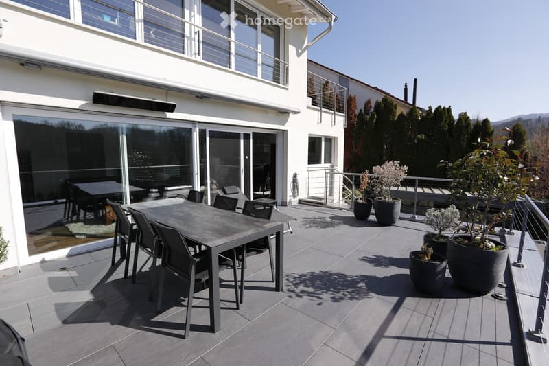 Dining table and chairs, metal railing, several potted plants, glass wall, black table