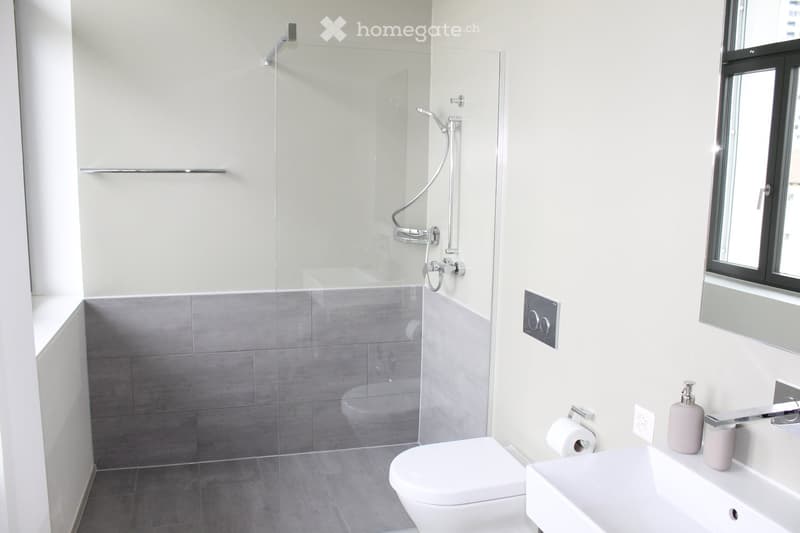 Modern bathroom with white walls, grey tiled floor, a glass-enclosed shower, a toilet, a sink with a mirror, and a soap dispenser.