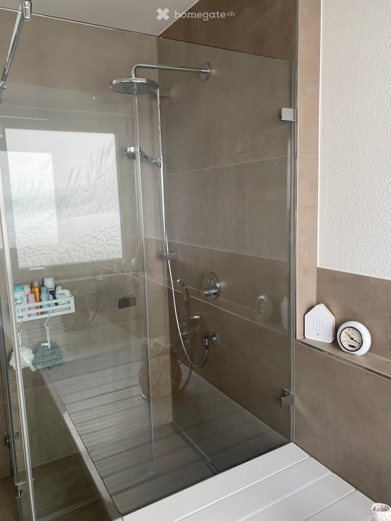 Modern bathroom with a glass-enclosed shower, a handheld showerhead, a shower rack with toiletries, and a digital clock on the shelf.