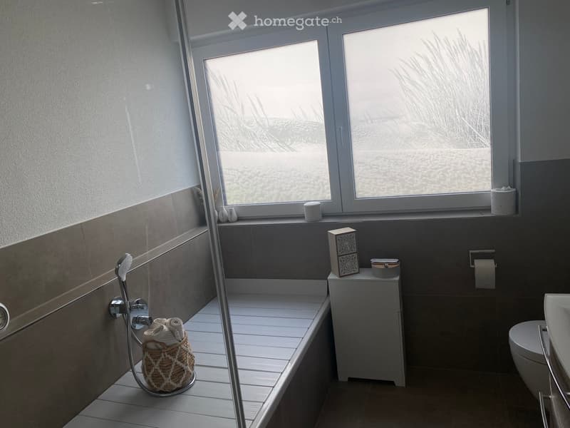 Modern bathroom with large windows, shower area, toilet, cabinet, and decorative items on the windowsill.