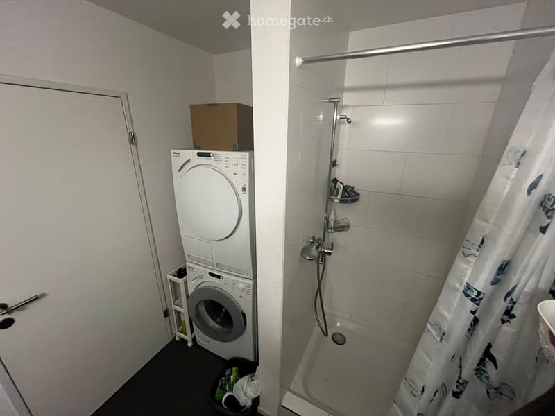 Bathroom with a washing machine, a shower with a curtain, a door, and a small shelf.