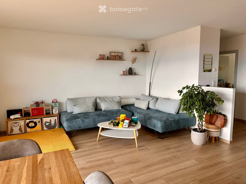 Living room with a blue sectional sofa, white coffee table, potted plant, and decorative shelves.