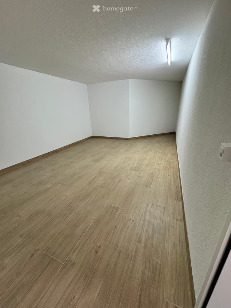 Empty hallway with light wooden flooring and white walls, featuring a smooth, clean finish and a recessed ceiling light fixture.