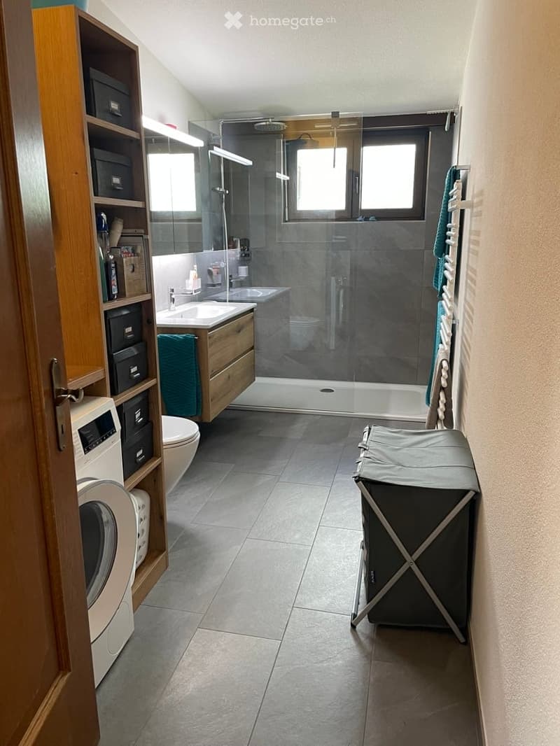 Bathroom with shower, sink, toilet, washing machine, shelves, towel rack
