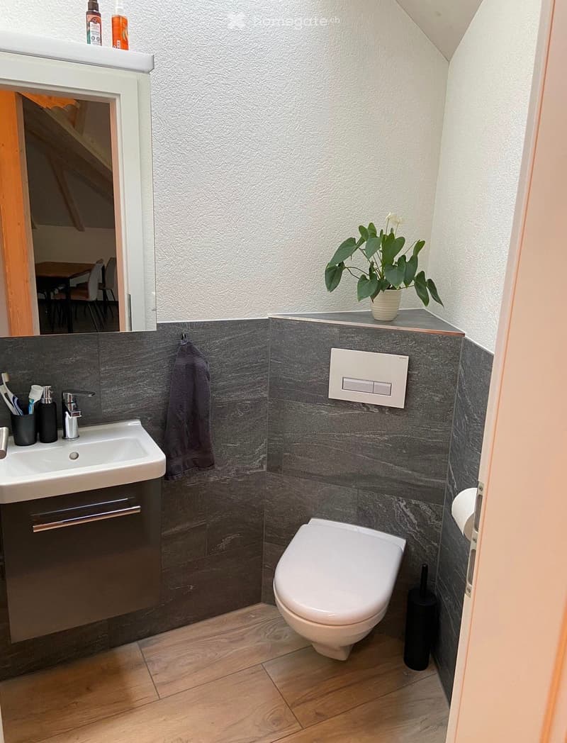 Modern bathroom with a white sink, chrome faucet, dark grey tiled walls, a white toilet, and a small potted plant on the counter.