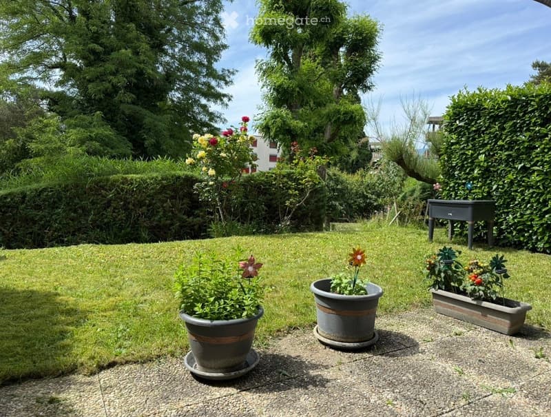 Well-maintained garden with a lawn, potted plants, and a small table, surrounded by hedges and trees.