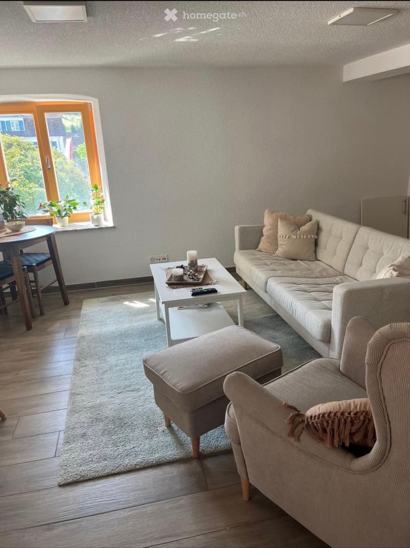 Modern living room with a light grey sofa, coffee table, ottoman, armchair, small dining table, and decorative plants near the window.