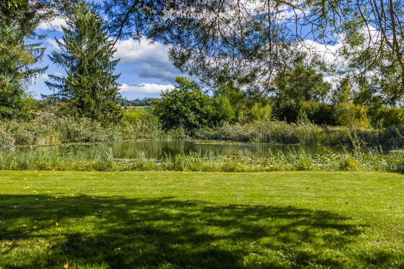 A serene garden area with a well-maintained lawn, a small pond surrounded by lush greenery and trees, creating a peaceful natural setting.