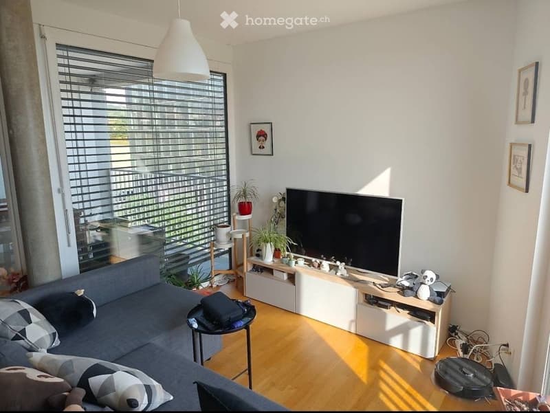 Modern living room with a grey sofa, coffee table, flat-screen TV, small table with potted plants, and decorative items.