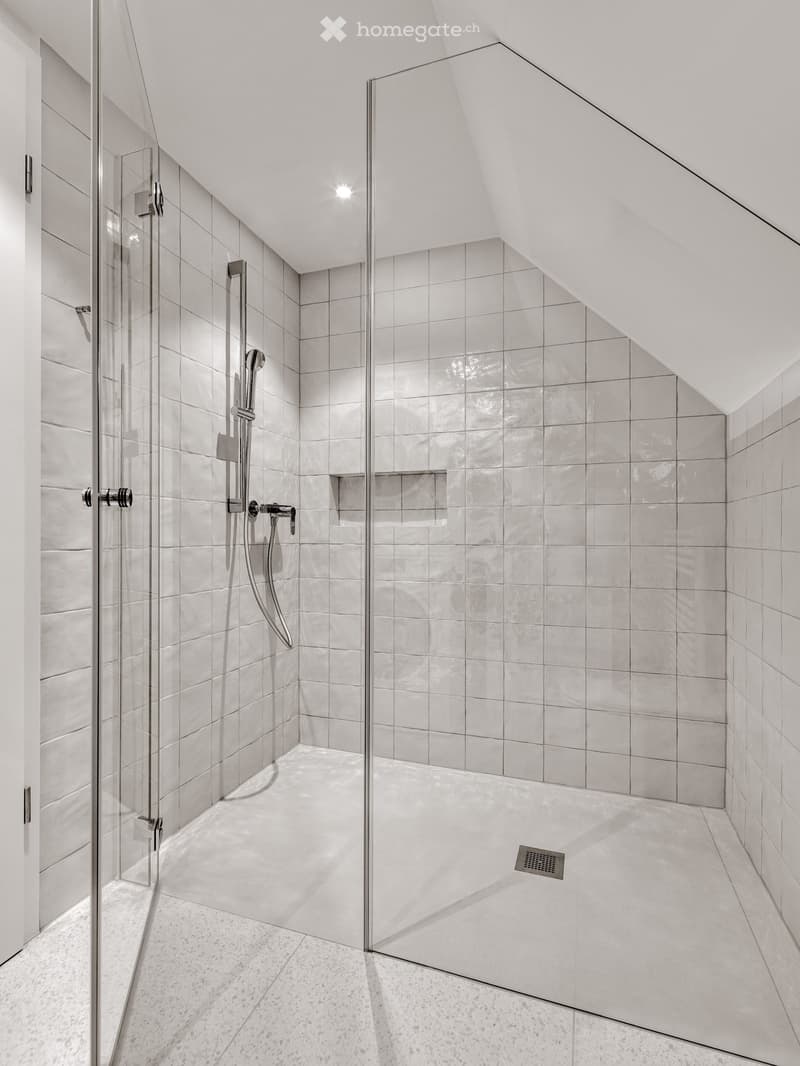 Modern bathroom with a large, sleek shower area featuring a glass enclosure, a modern showerhead, and a sleek, minimalist design.