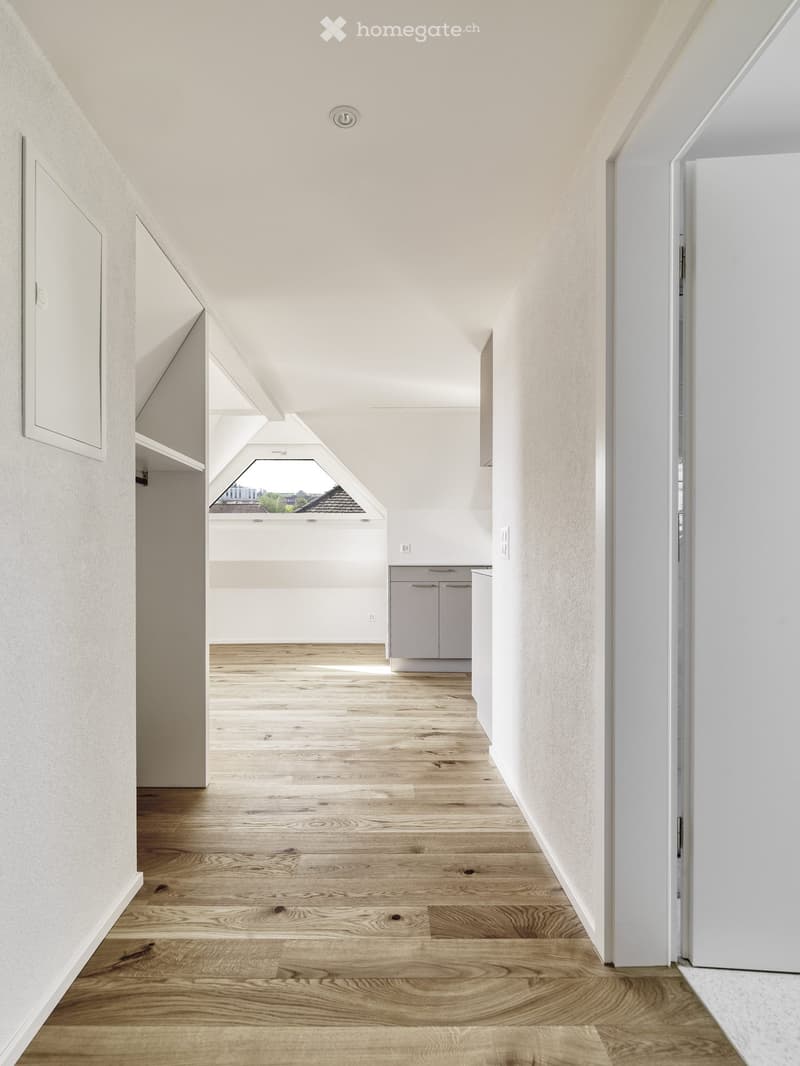 Bright, minimalist hallway with light wooden flooring, white walls, and built-in storage cabinets. Features a skylight at the far end and recessed lighting.