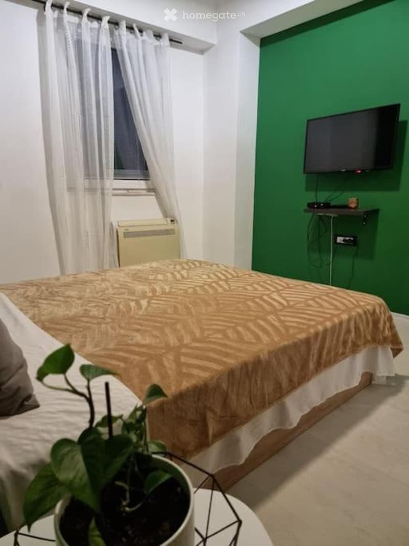 Cozy bedroom with a double bed, patterned bedspread, a potted plant on a small table, a wall-mounted TV, and a window with white curtains.
