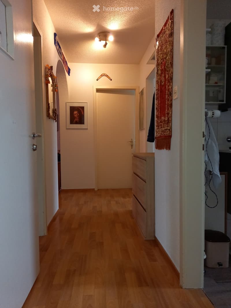 A narrow hallway with wooden flooring, white walls, and several doors. There is a small cabinet, a framed picture, and a decorative hanging on the walls.