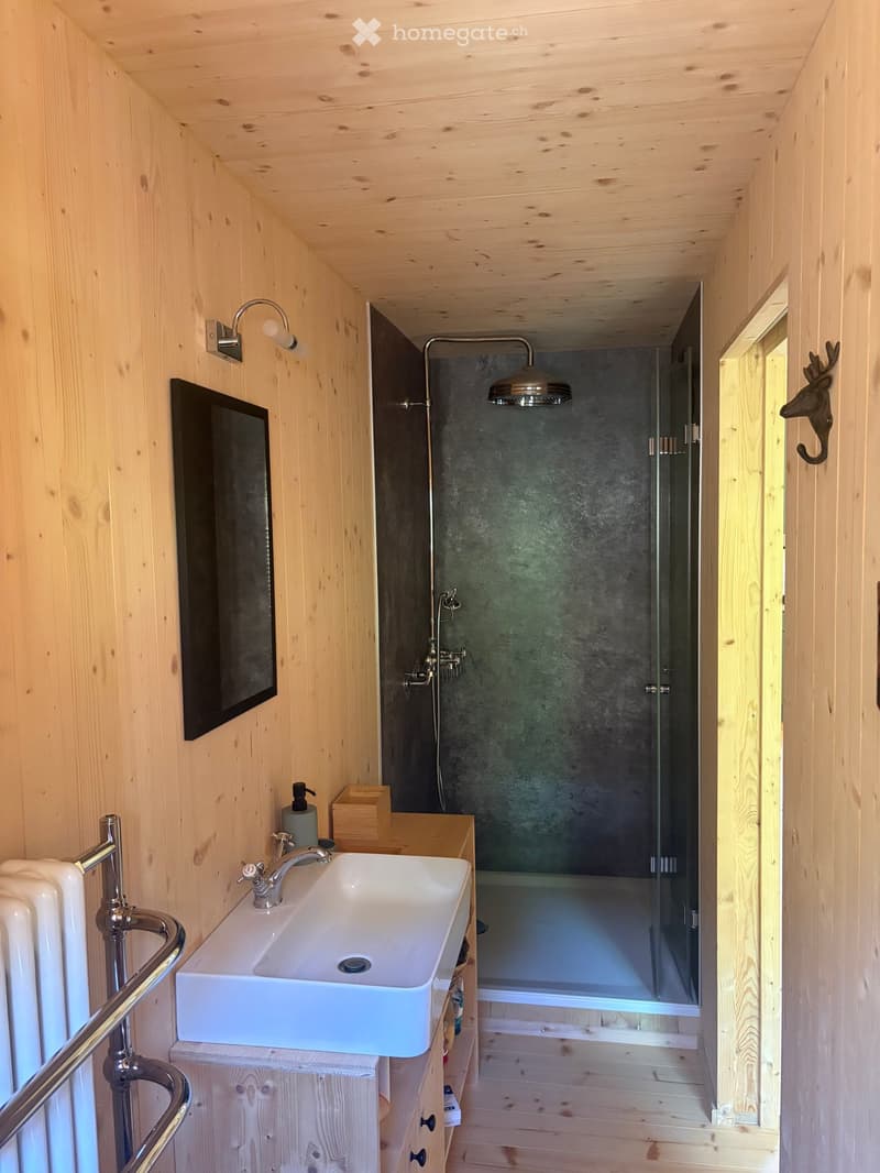 Cozy wooden bathroom with a white sink, modern faucet, mirror, and a glass-enclosed shower with a sleek showerhead. Wooden walls and ceiling, towel rack, and soap dispenser visible.