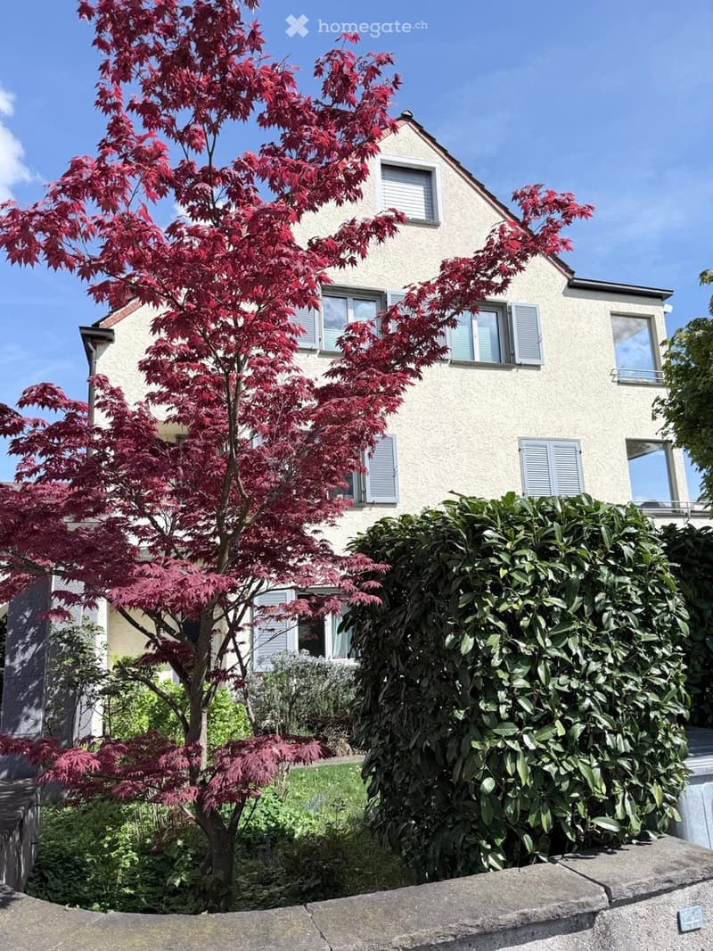Two-story house with light-colored exterior, multiple windows with shutters, and a well-maintained garden featuring a red maple tree and green shrubs.