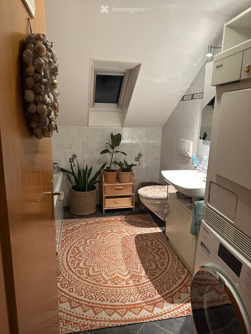 Bathroom with a sink, toilet, washing machine, wicker basket, potted plants, wooden shelf, and a patterned rug.