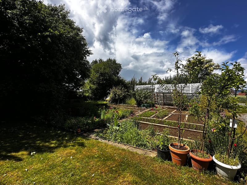 Well-maintained garden with various plants, trees, and potted plants arranged in rows, featuring a greenhouse structure in the background.
