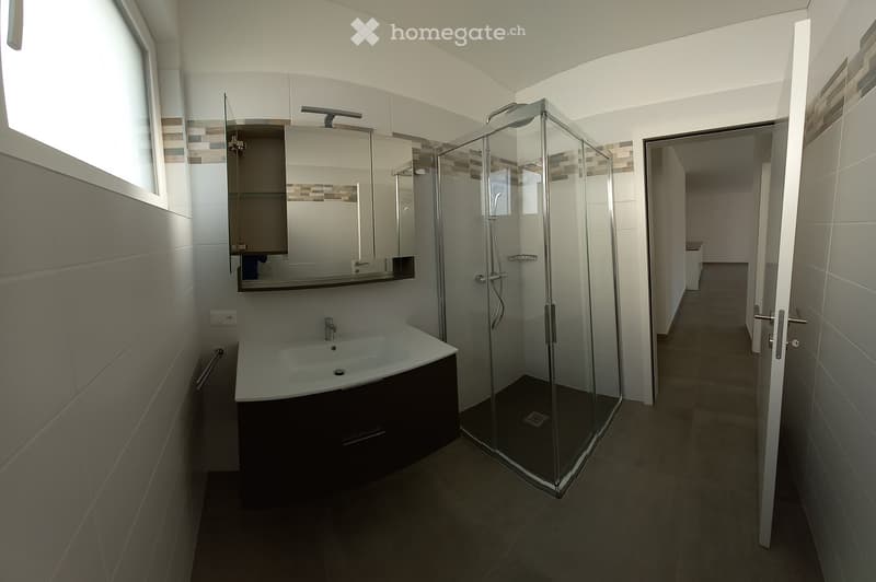 Modern bathroom with a sink, mirror, glass-enclosed shower, and built-in cabinet.