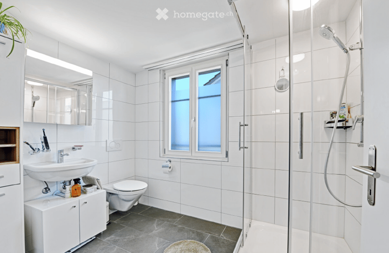 Modern bathroom with white tiles, a large window, a walk-in shower, a sink with a mirror, and a toilet. Includes a small cabinet, towel, and decorative plant.