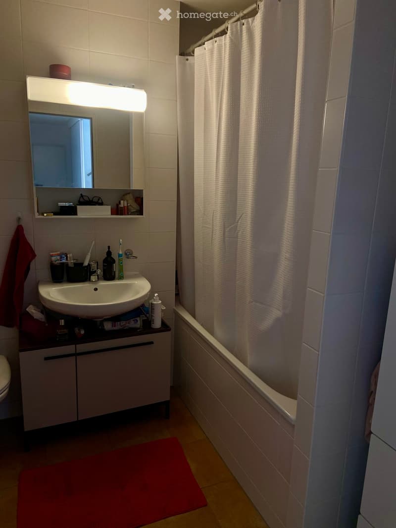 Modern bathroom with a sink, mirror, toilet, bathtub, and various toiletries. The space features a red bath mat, a white cabinet, and a shower curtain.
