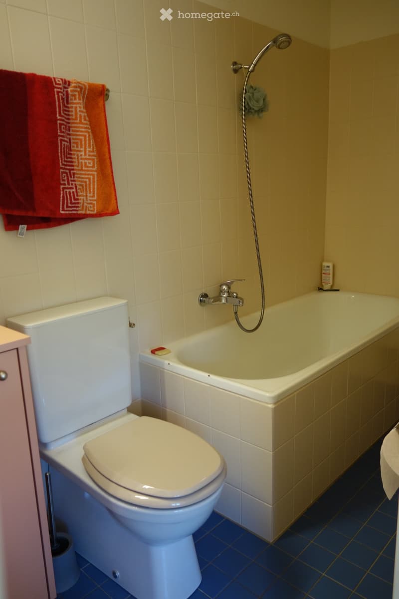 Bathroom with a toilet, bathtub, and a red towel hanging on the wall. The bathtub has a handheld showerhead attached to the wall.