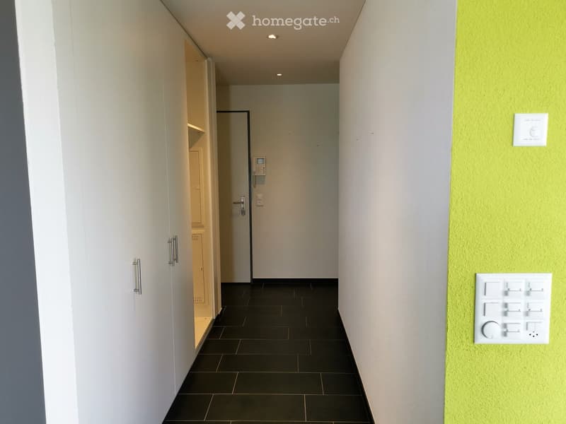 Modern hallway with white walls, black tiled floor, and recessed ceiling lighting. Features a door with a silver handle and a light switch panel on the right wall.
