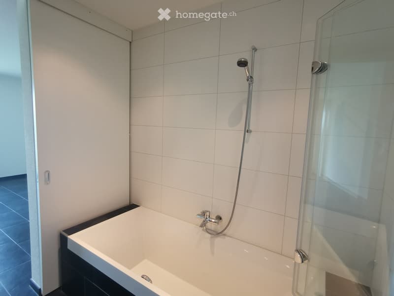 Modern bathroom with a white bathtub, glass shower enclosure, and a handheld showerhead.