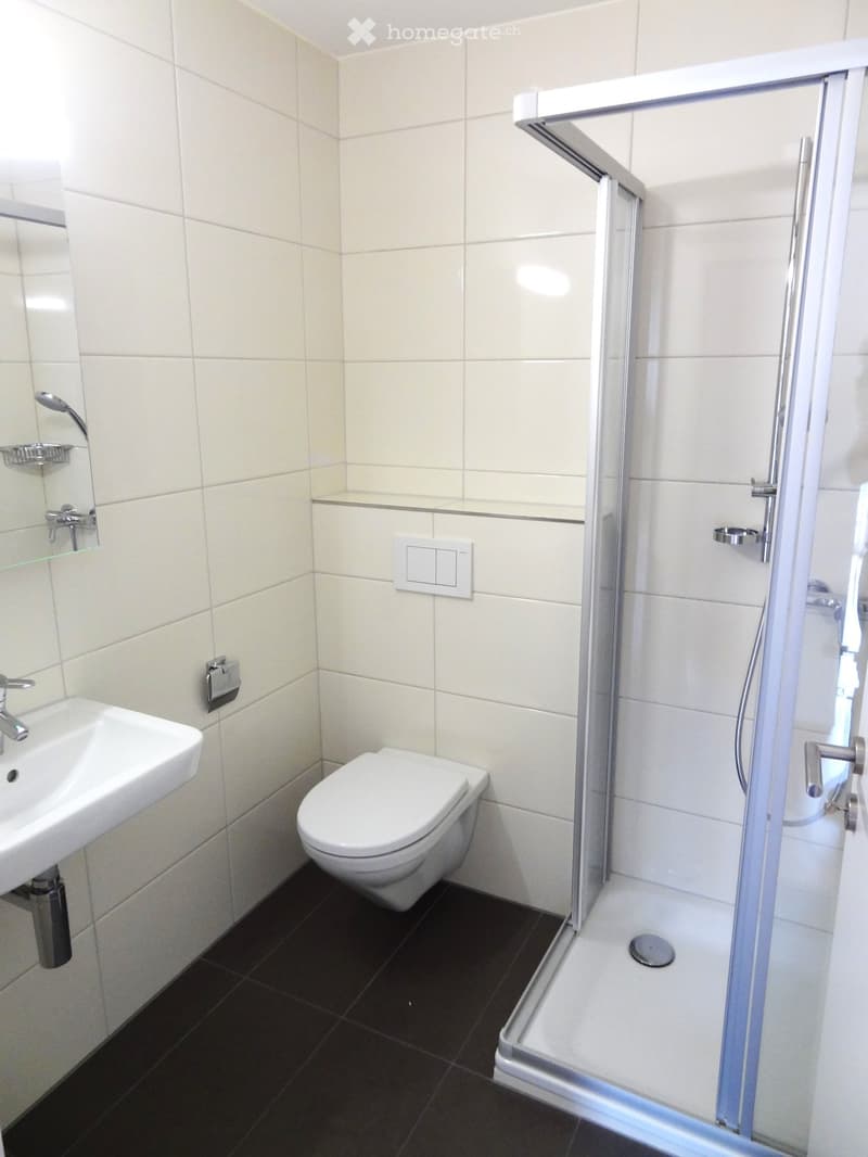 Modern bathroom with white tiles, black floor, glass-enclosed shower, sink, toilet, and mirror.