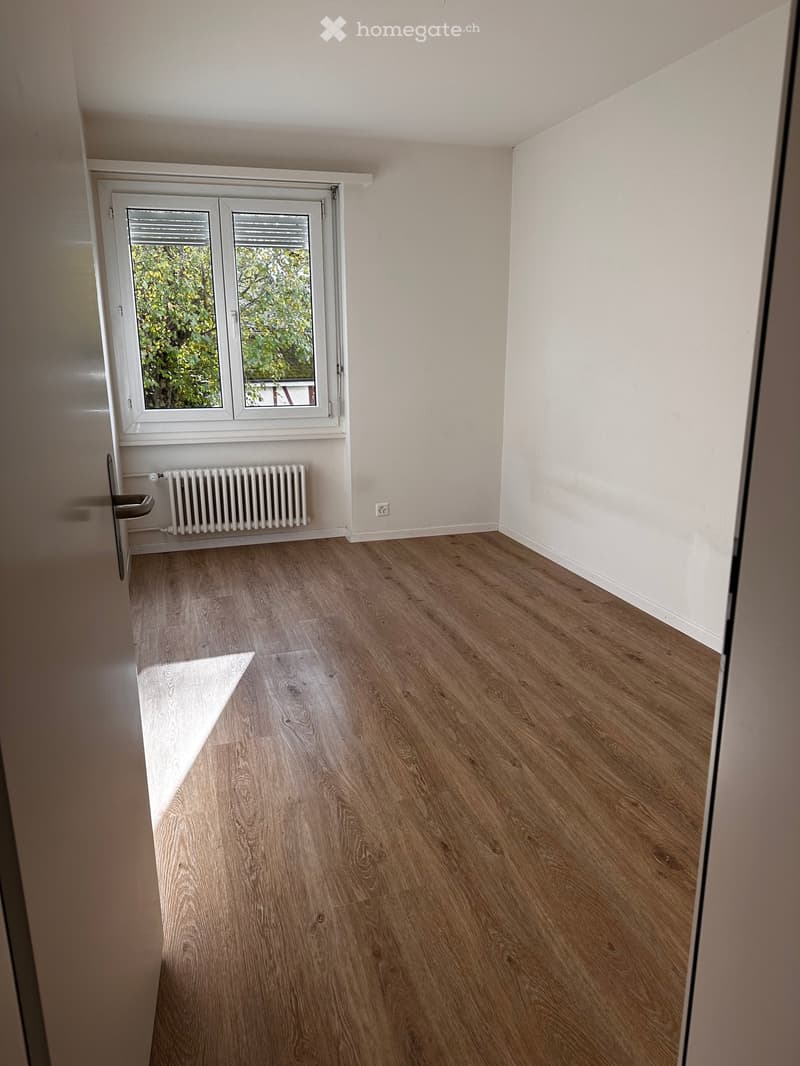Empty room with light wooden flooring, white walls, a window with white frame, and a radiator below the window.